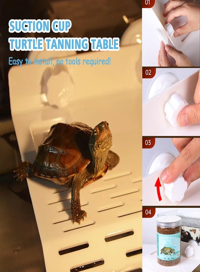 SHIGATSU 2IN1 Turtle Basking Platform for Turtle Tank,Turtle Platform with Suction Cup for Turtles, Lizards and Frogs, Reptile Habitat - Image 5